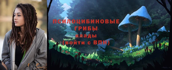 гашик Иноземцево